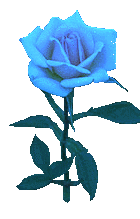 bluerose_1.gif