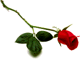 oneredrose.gif